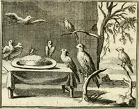 An illustration from Staat- en zedekundige zinneprenten, of, Leerzame fabelen (1731)