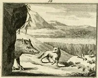 An illustration from Staat- en zedekundige zinneprenten, of, Leerzame fabelen (1731)