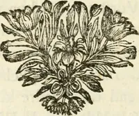 An illustration from Staat- en zedekundige zinneprenten, of, Leerzame fabelen (1731)