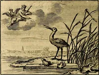 An illustration from Staat- en zedekundige zinneprenten, of, Leerzame fabelen : die van den Heere La Court speelswyze (1731)