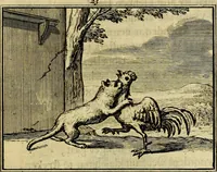 Picture 32 of 132 from Staat- en zedekundige zinneprenten, of, Leerzame fabelen : die van den Heere La Court speelswyze (1731), leaf 124