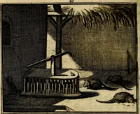 An illustration from Staat- en zedekundige zinneprenten, of, Leerzame fabelen : die van den Heere La Court speelswyze (1731)
