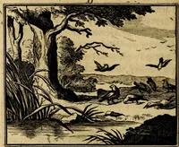 An illustration from Staat- en zedekundige zinneprenten, of, Leerzame fabelen : die van den Heere La Court speelswyze (1731)