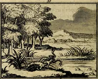 An illustration from Staat- en zedekundige zinneprenten, of, Leerzame fabelen : die van den Heere La Court speelswyze (1731)