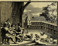 An illustration from Staat- en zedekundige zinneprenten, of, Leerzame fabelen : die van den Heere La Court speelswyze (1731)