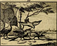 An illustration from Staat- en zedekundige zinneprenten, of, Leerzame fabelen : die van den Heere La Court speelswyze (1731)