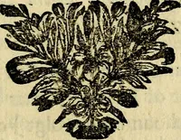 Picture 64 of 132 from Staat- en zedekundige zinneprenten, of, Leerzame fabelen : die van den Heere La Court speelswyze (1731), leaf 196