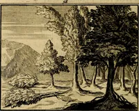 An illustration from Staat- en zedekundige zinneprenten, of, Leerzame fabelen : die van den Heere La Court speelswyze (1731)