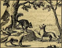 An illustration from Staat- en zedekundige zinneprenten, of, Leerzame fabelen : die van den Heere La Court speelswyze (1731)