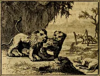 An illustration from Staat- en zedekundige zinneprenten, of, Leerzame fabelen : die van den Heere La Court speelswyze (1731)