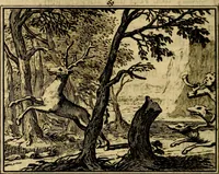 An illustration from Staat- en zedekundige zinneprenten, of, Leerzame fabelen : die van den Heere La Court speelswyze (1731)