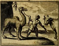An illustration from Staat- en zedekundige zinneprenten, of, Leerzame fabelen : die van den Heere La Court speelswyze (1731)