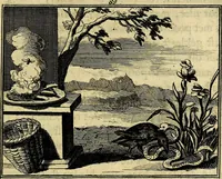 An illustration from Staat- en zedekundige zinneprenten, of, Leerzame fabelen : die van den Heere La Court speelswyze (1731)