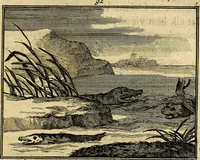 An illustration from Staat- en zedekundige zinneprenten, of, Leerzame fabelen : die van den Heere La Court speelswyze (1731)