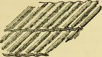 An illustration from Stable building and stable fitting : a handbook for the use of architects, builders, and horse owners (1891)