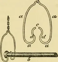An illustration from Stable building and stable fitting : a handbook for the use of architects, builders, and horse owners (1891)
