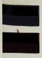 An illustration from Standard color card of America (1922)