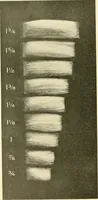 An illustration from Standard cotton mill practice and equipment, with classified buyer's index (1918)