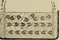 An illustration from The standard electrical dictionary; a popular dictionary of words, terms, and phrases, used in the practice of electrical engineering (1897)