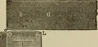 Picture 162 of 326 from The standard electrical dictionary; a popular dictionary of words, terms, and phrases, used in the practice of electrical engineering (1897), leaf 320