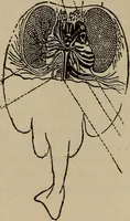Picture 233 of 326 from The standard electrical dictionary; a popular dictionary of words, terms, and phrases, used in the practice of electrical engineering (1897), leaf 455