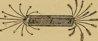 An illustration from The standard electrical dictionary : a popular encyclopaedia of words and terms used in the practice of electrical engineering (1898)