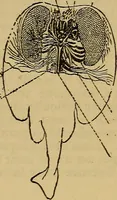 An illustration from The standard electrical dictionary : a popular encyclopaedia of words and terms used in the practice of electrical engineering (1898)