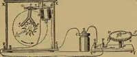 An illustration from The standard electrical dictionary : a popular encyclopaedia of words and terms used in the practice of electrical engineering (1898)