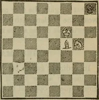 An illustration from The standard Hoyle; a complete guide and reliable authority upon all games of chance or skill now played in the United States whether of native or foreign introduction (1904)