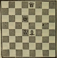 An illustration from The standard Hoyle; a complete guide and reliable authority upon all games of chance or skill now played in the United States whether of native or foreign introduction (1904)