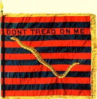 An illustration from The standards, flags and banners of the Pennsylvania Society of Sons of the Revolution (1913)