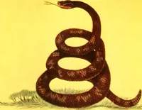 An illustration from The standards, flags and banners of the Pennsylvania Society of Sons of the Revolution (1913)