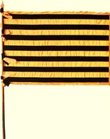 Picture 10 of 19 from The standards, flags and banners of the Pennsylvania Society of Sons of the Revolution (1913), leaf 51