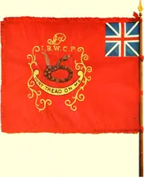 Picture 13 of 19 from The standards, flags and banners of the Pennsylvania Society of Sons of the Revolution (1913), leaf 63