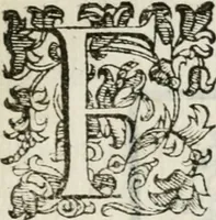 An illustration from Stanze cantate da vn fanciullo : in compagnia et a nome della Contrada della Lupa, festeggiante dinanzi à S.A.S. l'anno 1590 in Siena (1590)