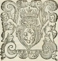 An illustration from Stanze cantate da vn fanciullo : in compagnia et a nome della Contrada della Lupa, festeggiante dinanzi à S.A.S. l'anno 1590 in Siena (1590)