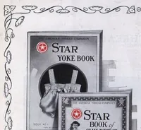 An illustration from Star Needlework Journal (February, 1925) (1925)