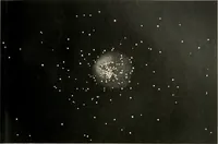 An illustration from Star atlas containing maps of all the stars from 1 to 6.5 magnitude between the North Pole and 34 south declination, and of all nebulae and star clusters in the same region which are visible in telescopes of moderate powers. With explanatory text by H.J. Klein. Translated by Edmond McClure (1901)