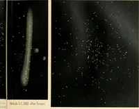 An illustration from Star atlas containing maps of all the stars from 1 to 6.5 magnitude between the North Pole and 34 south declination, and of all nebulae and star clusters in the same region which are visible in telescopes of moderate powers. With explanatory text by H.J. Klein. Translated by Edmond McClure (1901)