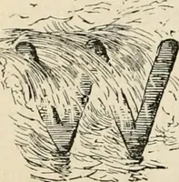An illustration from Starboard and port: the "Nettie" along shore (1876)