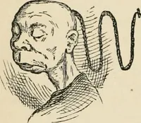 An illustration from Starboard and port: the "Nettie" along shore (1876)