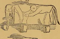 An illustration from The Star games, tricks and puzzles (1893)