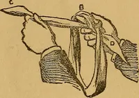 An illustration from The Star games, tricks and puzzles (1893)