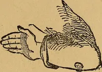 An illustration from The Star games, tricks and puzzles (1893)