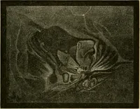 An illustration from Stargazing: past and present (1878)