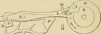 An illustration from Stargazing: past and present (1878)