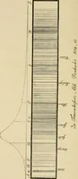 An illustration from Stargazing: past and present (1878)