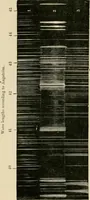 An illustration from Stargazing: past and present (1878)
