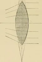 An illustration from Stargazing: past and present (1878)