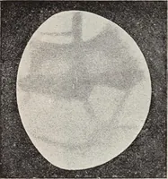 An illustration from Star-land; being talks with young people about the wonders of the heavens (1899)